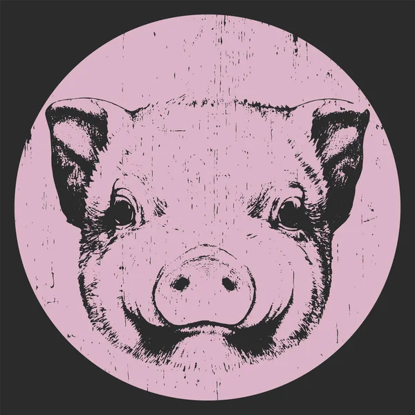 Ручний намальований портрет свині — стоковий вектор