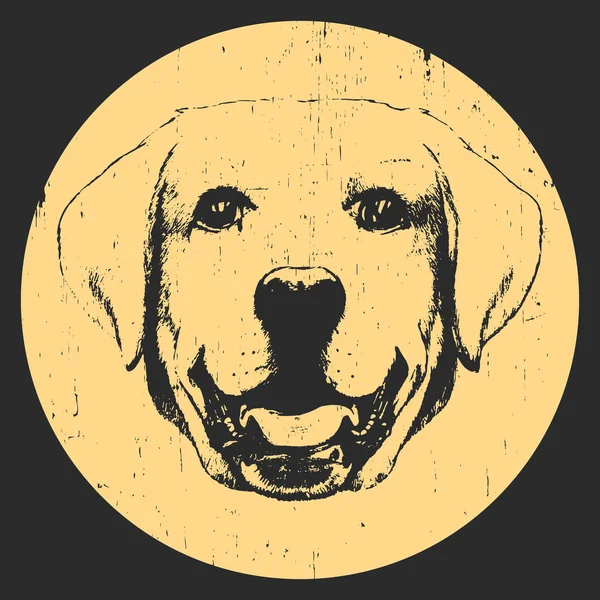 Retrato dibujado a mano del perro — Vector de stock