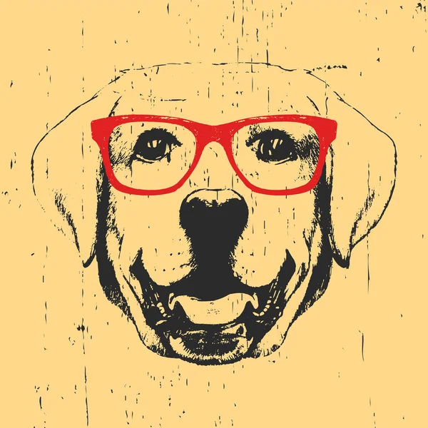 Porträt eines Hundes mit Brille. — Stockvektor