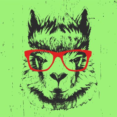 Lama portresi gözlüklü. 