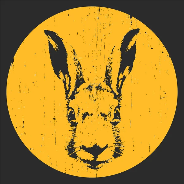 Portret królika. ilustracja. — Wektor stockowy