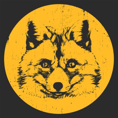 Fox portresi. Elle çizilmiş illüstrasyon. 