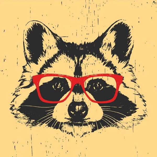 Portrait de Raton laveur avec lunettes . — Image vectorielle