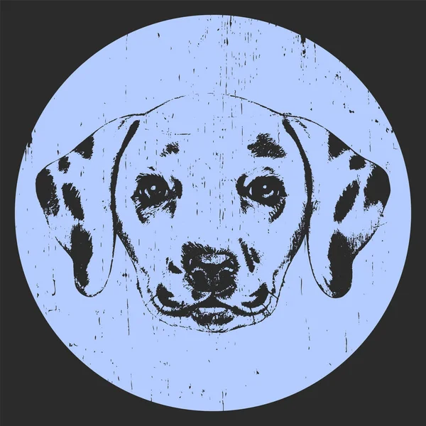 Porträtt av dalmatiska hund. — Stock vektor