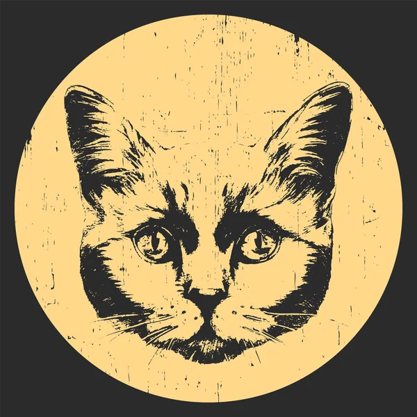 Портрет британского короткошерстного кота. — стоковый вектор