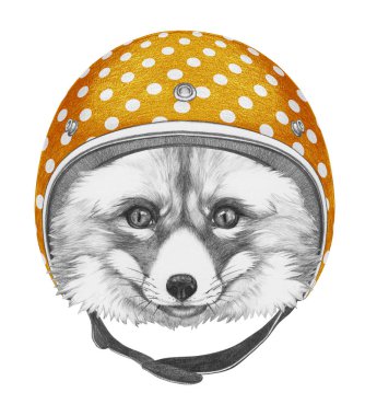 Kask ile Fox portresi.