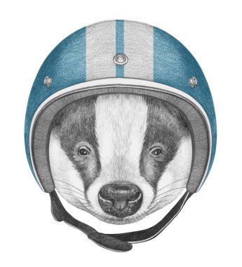 Kask ile porsuk portresi. 