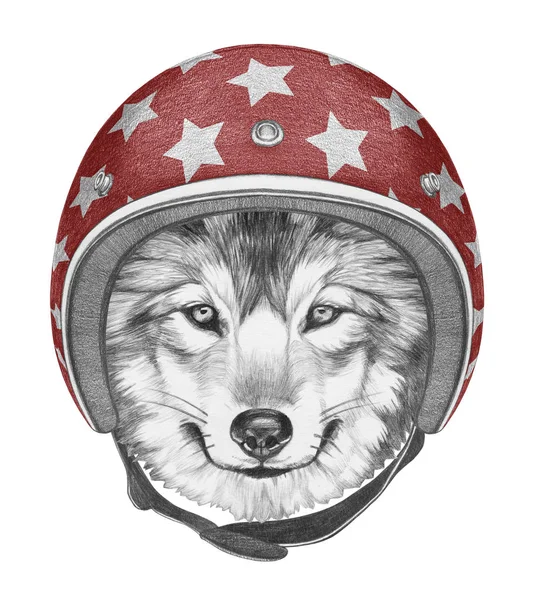 Portrait of Wolf with Helmet. — Stock Photo, Image