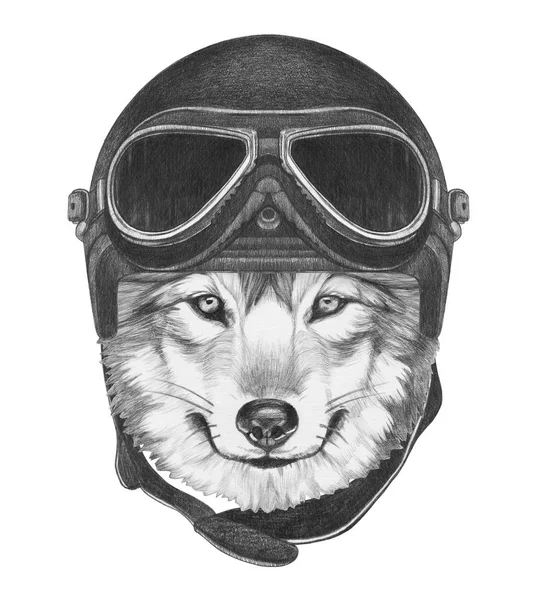 Wolf with Vintage Helmet.