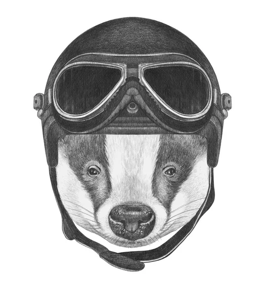 Badger with Vintage Helmet. — Stock Photo, Image