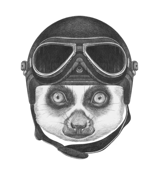 빈티지 헬멧 여우 원숭이의 초상화. — 스톡 사진