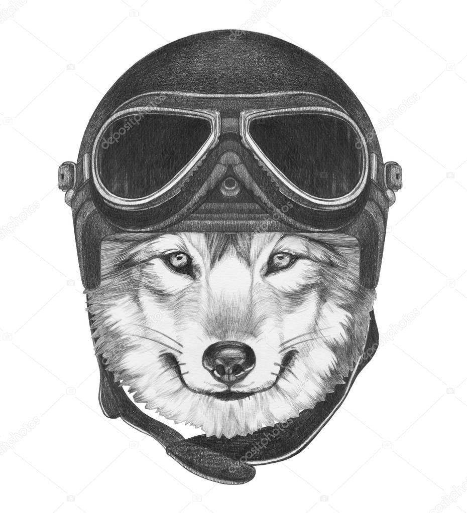 Wolf with Vintage Helmet. 