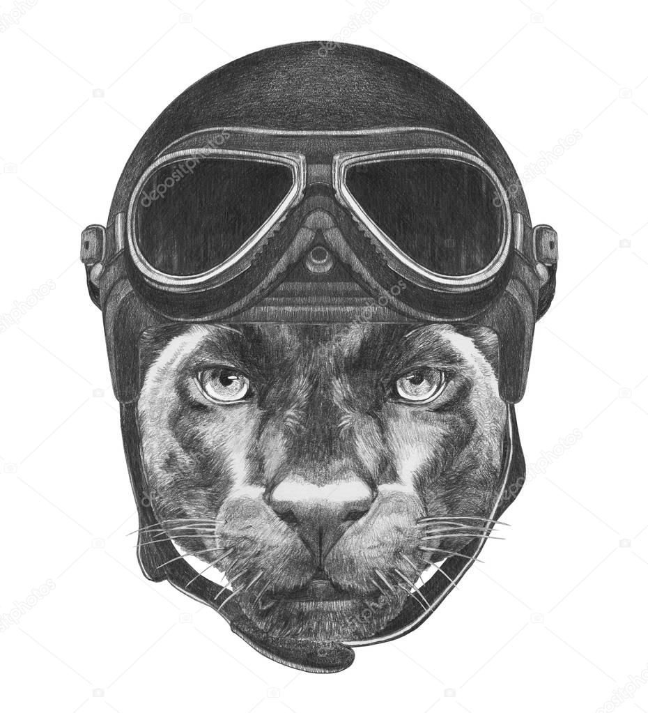  Panther with Vintage Helmet. 