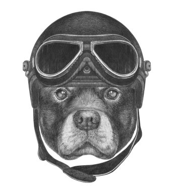 Rottweiler Vintage kask ile portresi.