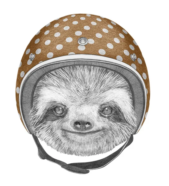 Портрет ленивца в шлеме . — стоковое фото