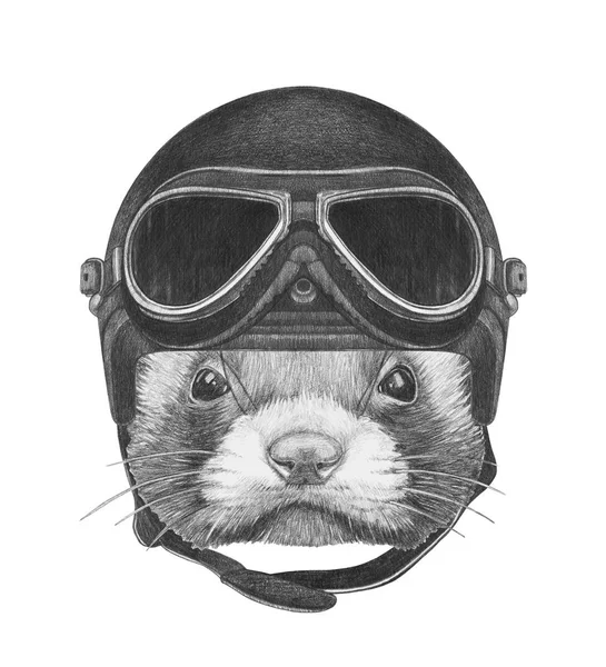Retrato de Least Weasel — Fotografia de Stock