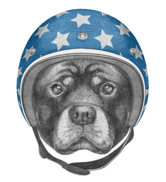 Portret van Rottweiler met helm. — Stockfoto