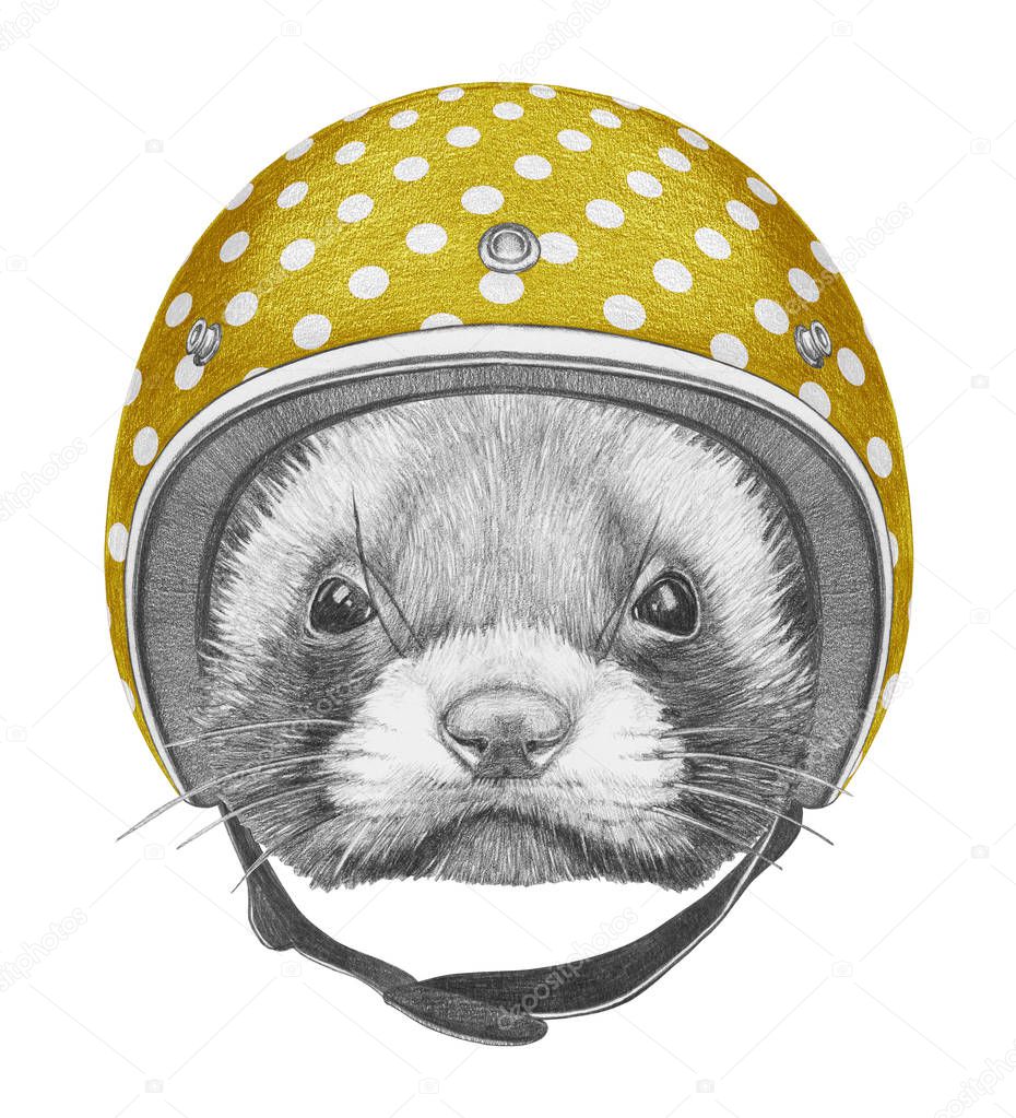 Portrait of Least Weasel with Helmet.