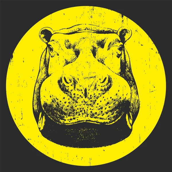 Portrait de mignon Hippo — Image vectorielle