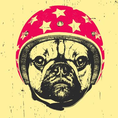  Vintage kask ile köpek. 