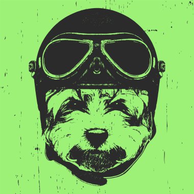  Vintage kask ile köpek. 