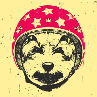  Vintage kask ile köpek. 