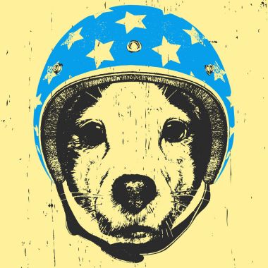  Vintage kask ile köpek. 