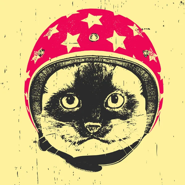 Кошка в винтажном шлеме . — стоковый вектор