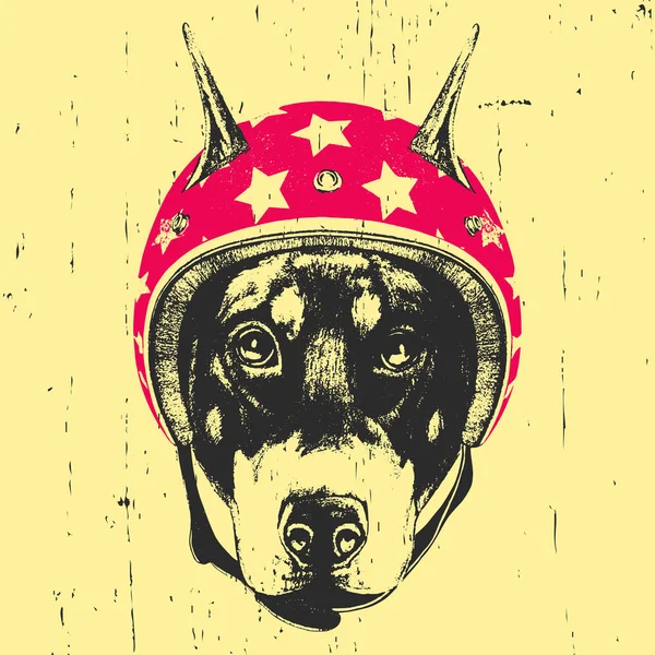 Perro con casco Vintage . — Vector de stock