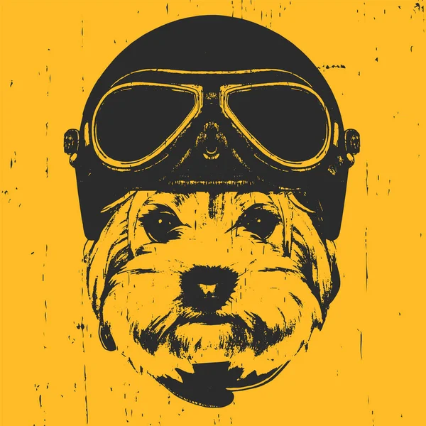 Perro con casco Vintage . — Vector de stock