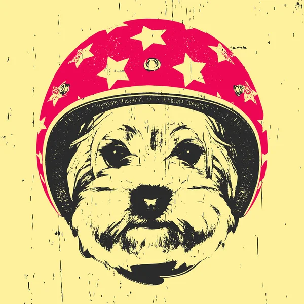 Perro con casco Vintage . — Vector de stock
