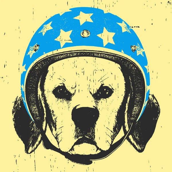 Perro con casco Vintage . — Vector de stock