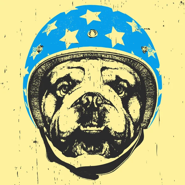 Perro con casco Vintage . — Vector de stock