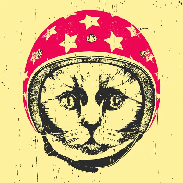 Кошка в винтажном шлеме . — стоковый вектор