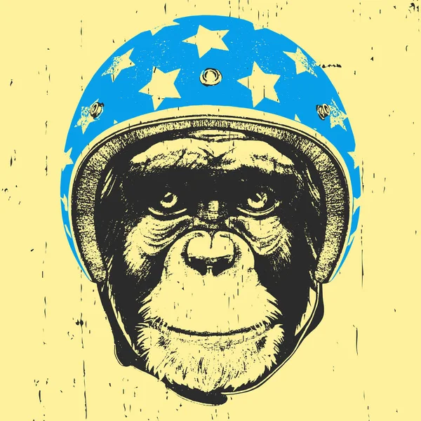 Macaco com capacete vintage . — Vetor de Stock