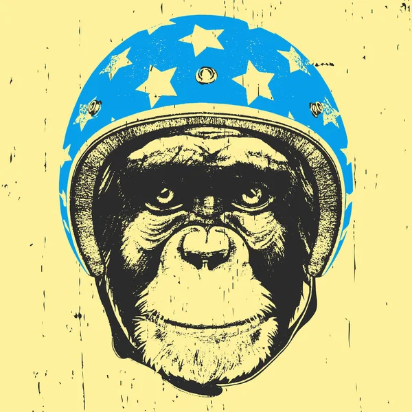 Macaco com capacete vintage . —  Vetores de Stock