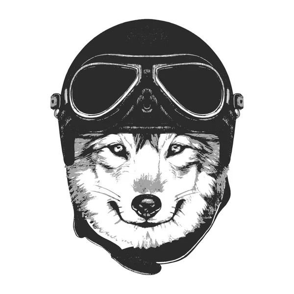 Wolf with Vintage Helmet. — Stock Vector