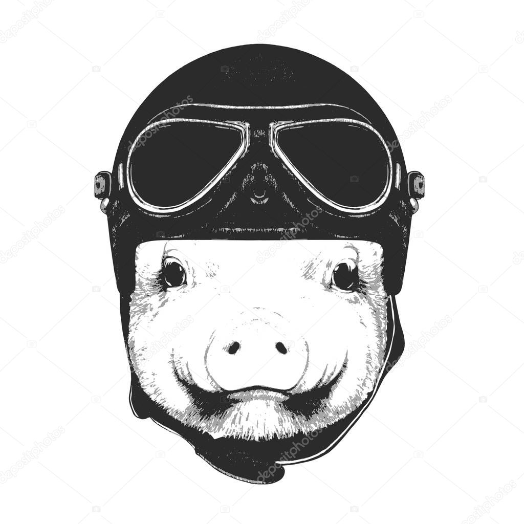 pig with Vintage Helmet. 