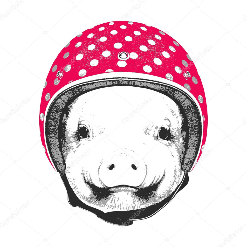pig with Vintage Helmet. 
