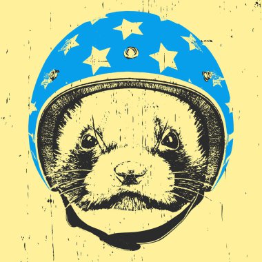 vizon Vintage kask ile. 