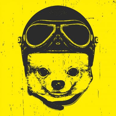  Vintage kask ile köpek. 