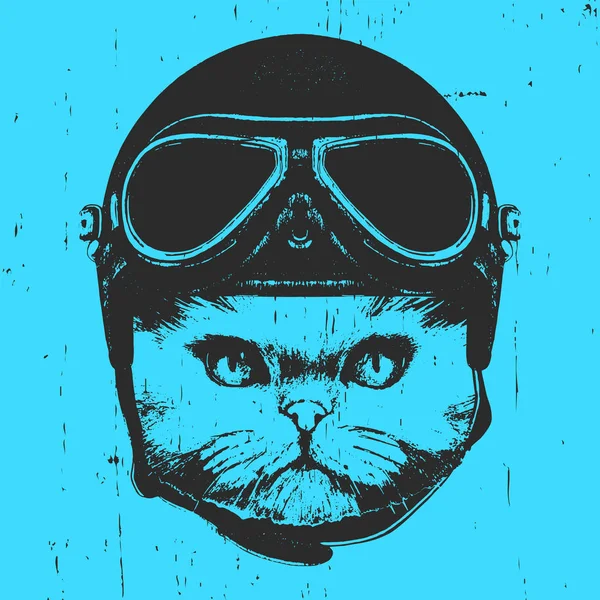 แมวที่มีหมวกวินเทจ . — ภาพเวกเตอร์สต็อก