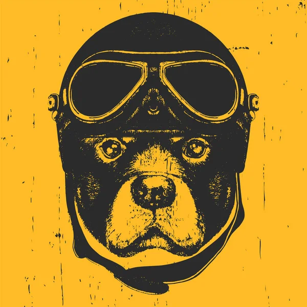 Perro con casco Vintage . — Vector de stock