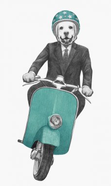 Antropomorfik labrador köpek binme vintage motosiklet takım kask, üzerinde beyaz izole içinde kravat ile çizilmiş resmi el