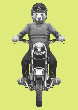 Çizilen illüstrasyon yeşil örgü kazak ve kask vintage motosiklet binme antropomorfik ayının el