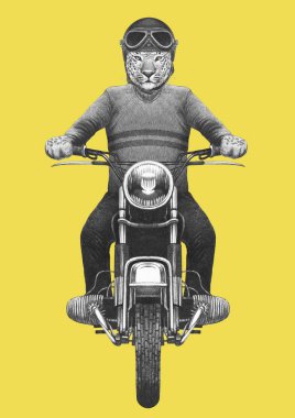 El çizimi antropomorfik leopar örme kazak ve kask vintage motosiklet binme çekilmiş