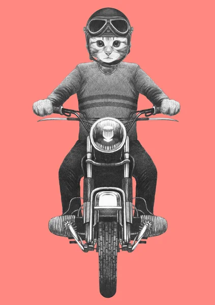 Illustrazione Disegnata Mano Gatto Antropomorfo Che Guida Moto Vintage Maglione — Foto Stock
