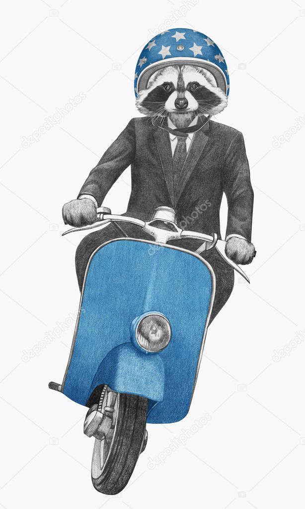 Hand drawn illustration of anthropomorphic raccoon riding vintage motor scooter in suit with tie in helmet, isolated on white