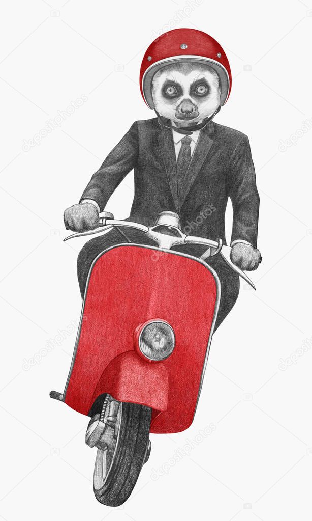 Hand drawn illustration of anthropomorphic lemur riding vintage motor scooter in suit with tie in helmet, isolated on white