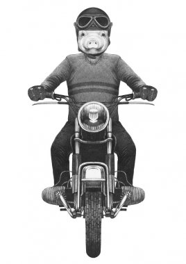 El çizimi antropomorfik domuz örme kazak ve kask vintage motosiklet binme çekilmiş